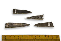 F 04595
<br/>
<br/>
<em></em>